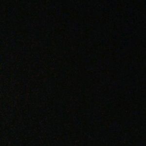 Meet your Posher, Daisy